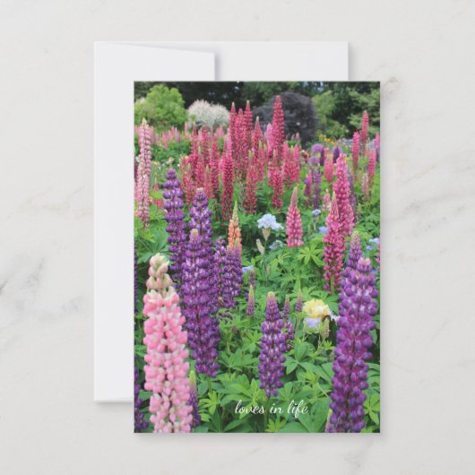 ルピネガーデン ノートカード (正面)