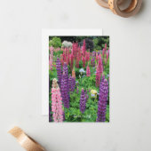 ルピネガーデン ノートカード (正面/裏面インサイチュ)