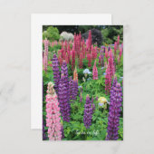 ルピネガーデン ノートカード (正面/裏面)