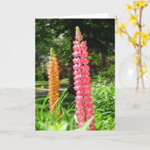 ルピネスコテージガーデン – Martha's Vineヤード カード (黄色い花)