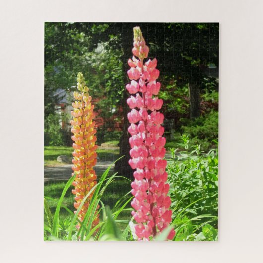 ルピネスコテージガーデン – Martha's Vineヤード ジグソーパズル (縦)