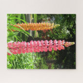 ルピネスコテージガーデン – Martha's Vineヤード ジグソーパズル (横)