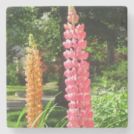 ルピネスコテージガーデン – Martha's Vineヤード ストーンコースター