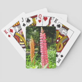 ルピネスコテージガーデン – Martha's Vineヤード トランプ