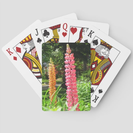 ルピネスコテージガーデン – Martha's Vineヤード トランプ (裏面)