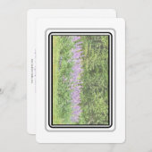 ルピネス – Big Bay Rd 2023ノテカード ノートカード (正面/裏面)