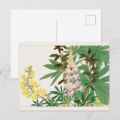 ルピネバイタニガミ湖南 ポストカード (正面/裏面)