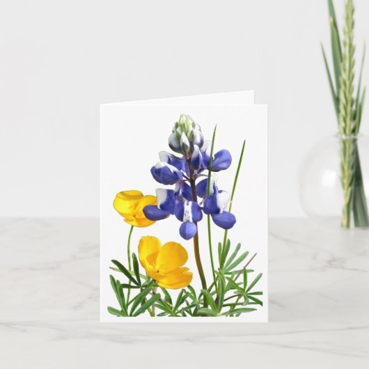 ルピネポピズノートカード カード (正面)