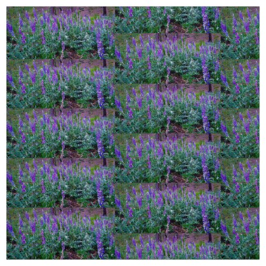 ルピネ畑 ファブリック (見本)