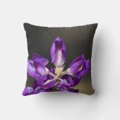 ルピネ疑問に思 クッション (裏面)