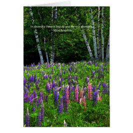 ルピネ祝野多様性