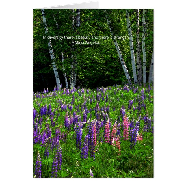 ルピネ祝野多様性 (正面)