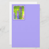 ルピネ絵画ズ – オリジナルフラワーアート 便箋 (正面/裏面)