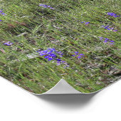 ルピネ落ちたオーク ポスター (角)