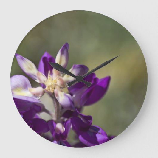 ルピネ ラージ壁時計 (正面)