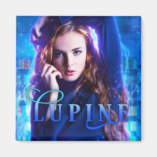 ルピン磁石 マグネット