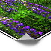 ルピ表現ンフィールドの多様性 ポスター (角)