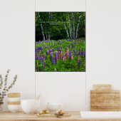 ルピ表現ンフィールドの多様性 ポスター (キッチン)