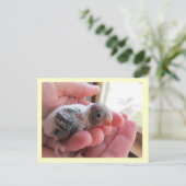 ルフスアットオールド16日 ポストカード (スタンド正面)