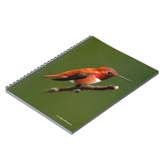 ルフー素晴らしハミングバードオンさくらんぼブランチ ノートブック (左側)