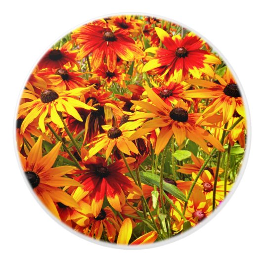 ルベキア花 セラミックノブ (正面)