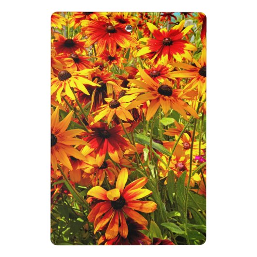 ルベキア花 ミニクリップボード (裏面)