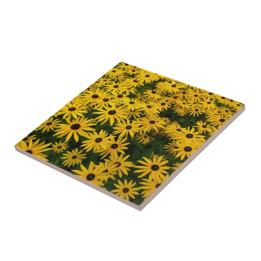 ルベッキア·ヒルタ タイル (側面)