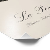 ルペロケケンドレー – 19世紀イラストレーション フォトプリント            (角)