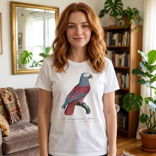 ルペロケサントレタペール Tシャツ