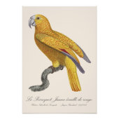 ルペロケジャウヌエカイルドゥルージュ フォトプリント            (正面)