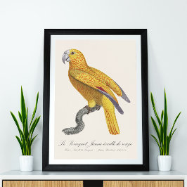 ルペロケジャウヌエカイルドゥルージュ フォトプリント           