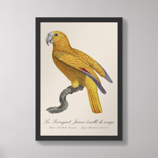 ルペロケジャウヌエカイルドゥルージュ フォトプリント           