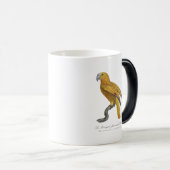 ルペロケジャウヌエカイルドゥルージュ モーフィングマグカップ (正面右)