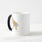 ルペロケジャウヌエカイルドゥルージュ モーフィングマグカップ (正面左)