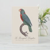 ルペロケラングロス サンキューカード (スタンド正面)