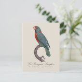 ルペロケラングロス ポストカード (スタンド正面)