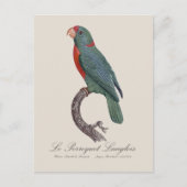 ルペロケラングロス ポストカード (正面)