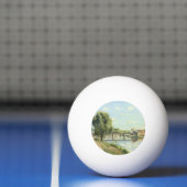 ルポンデュケミンデファーカミールピサロ 卓球ボール (ネット)