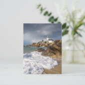 ルミエールデリシエウスダンルフィニセールノール ポストカード (スタンド正面)