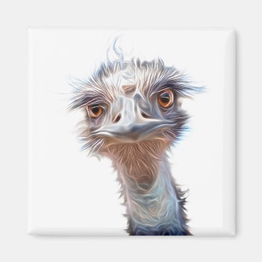 ルミナス·エミュ·アート マグネット (正面)