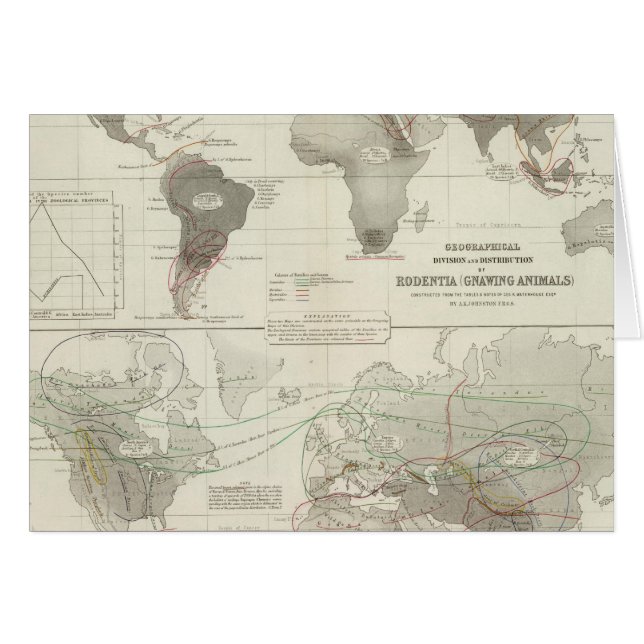 ルミナンティア・ローデンダ (正面横)