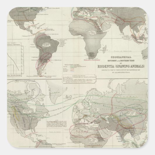 ルミナンティア・ローデンダ スクエアシール (正面)