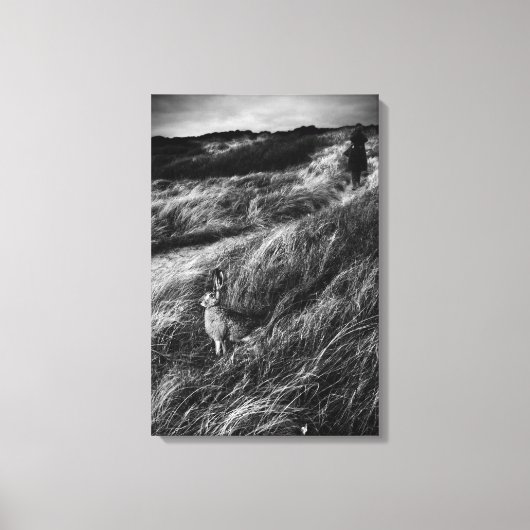 ルランデブーダリスワンダーランドの素晴らしアートフォト キャンバスプリント (正面)