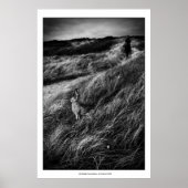 ルランデブーダリスワンダーランドの素晴らしアートフォト ポスター (正面)