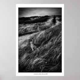 ルランデブーダリスワンダーランドの素晴らしアートフォト ポスター