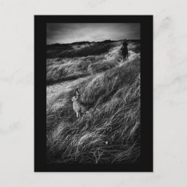 ルランデブーダリスワンダーランドの素晴らしアートフォト ポストカード