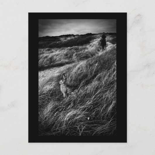 ルランデブーダリスワンダーランドの素晴らしアートフォト ポストカード (正面)