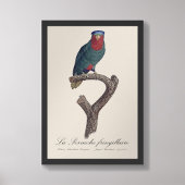 ルリゴシキセイインコ, Vini Australis フォトプリント