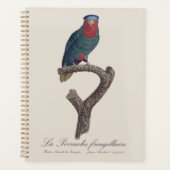 ルリゴシキセイインコ, Vini Australis プランナー手帳 (正面)