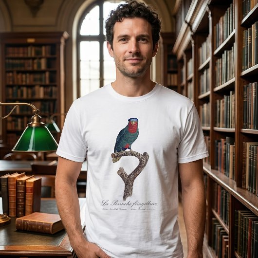 ルリゴシキンカイインコ, Vini Australis Tシャツ
